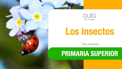 Product image for 5º. 15. Los insectos Aula (Alumno)