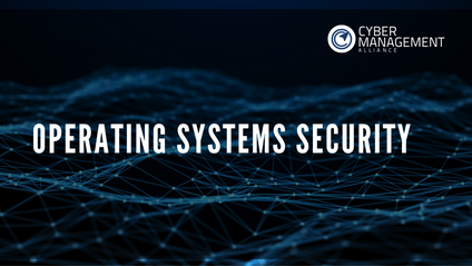 Product image for Operating Systems Security