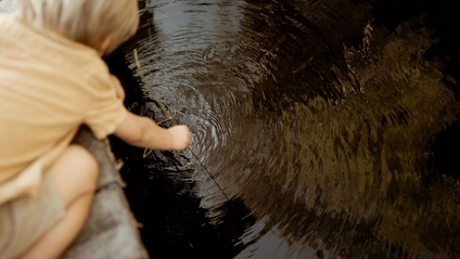 Product image for Water School