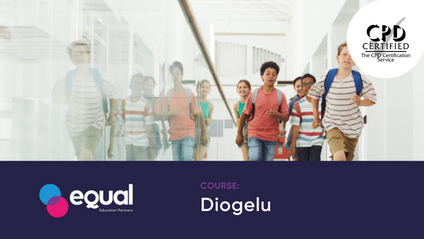 Product image for Diogelu