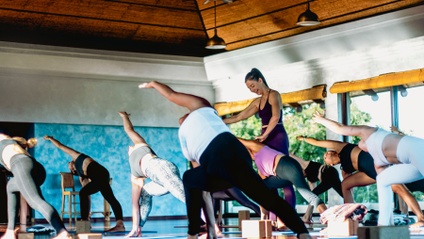 Product image for 300 Hour Hatha/Vinyasa Yoga Alliance Training with Michele Loew 2023