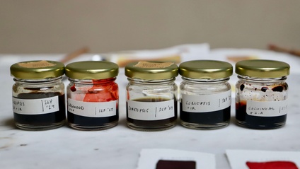 Product image for Make Paint From Plants