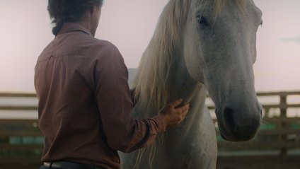 Product image for Masterclass + Foal Handling