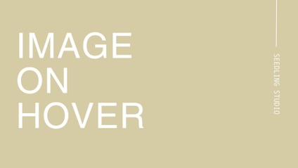Product image for Image on Hover for Showit