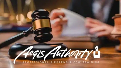 Product image for Court Ordered Firearms Safety Course