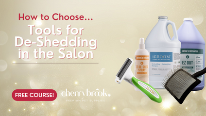 Product image for How To Choose... Tools for De-shedding in the Salon