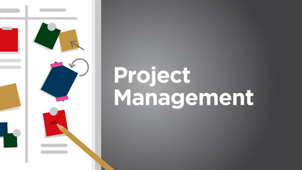 Product image for Project Management