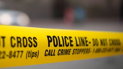 Product image for Crime Crash Course - 101