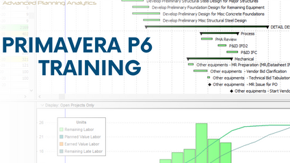 Product image for Rapid Mastery of Primavera P6 in 30 Minutes