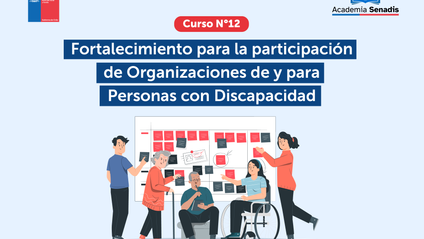 Product image for Curso 12: Fortalecimiento para la participación de Organizaciones de y para personas con Discapacidad