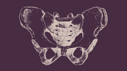 Product image for Yoga for the Pelvic Floor: Introductory Workshop