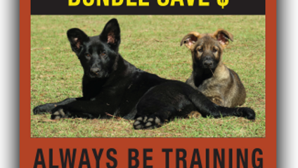 Product image for Puppy Training Courses - 2 to 6 months AND 6 to 16 months