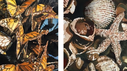 Product image for Butterflies &amp; Seashells, Bundle