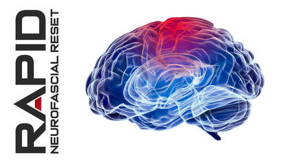 Product image for RAPID Trauma, the ANS and Concussion
