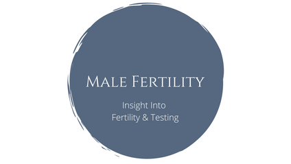 Product image for Insight Into Male Fertility.