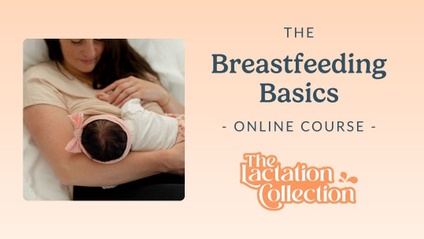 Product image for Breastfeeding Basics