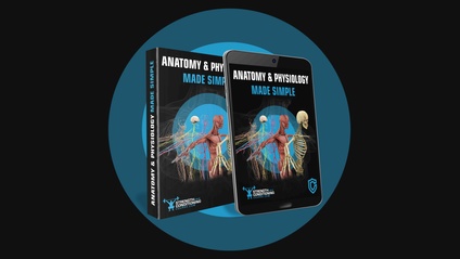 Product image for ANATOMY & PHYSIOLOGY MADE SIMPLE BOOK (PDF)