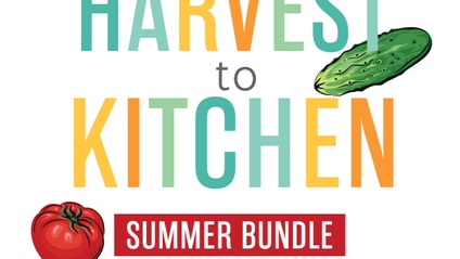 Product image for Harvest to Kitchen - Summer Veggie Bundle