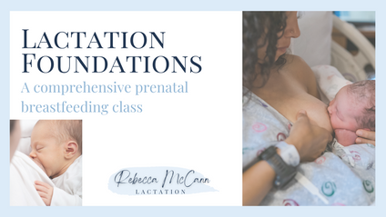 Product image for Lactation Foundations