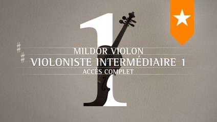 Product image for Violoniste intermédiaire 1