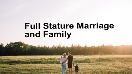 Product image for Marriage and Family Ministry