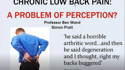 Product image for Chronic Low Back Pain: A Problem of Perception? 