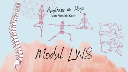 Product image for LWS: Anatomie im Yoga VON FUSS BIS KOPF