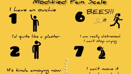 Product image for Pain Scale Download