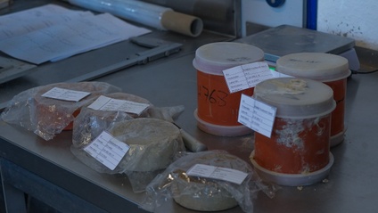 Product image for Bodenmanagement