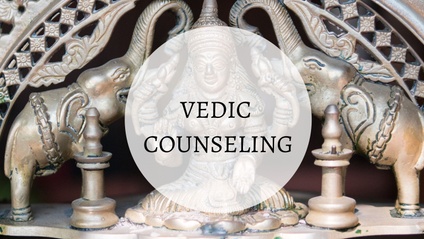 Product image for Vedic Counseling