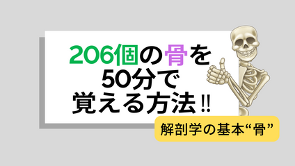 Product image for  【206個の骨を50分で覚える方法】
