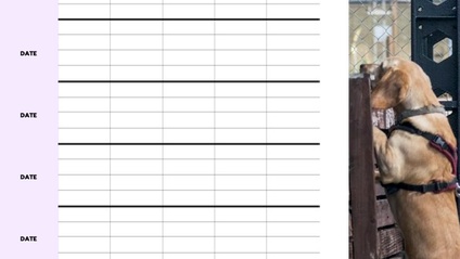 Product image for Scentwork Search Tracker