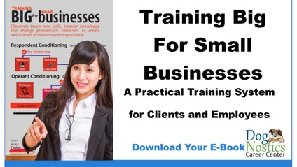 Product image for Training Big for a Small Business
