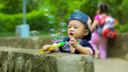 Product image for Building the Young Child’s Regulation Skills