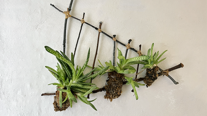 Product image for Plant Hanger Workshop 