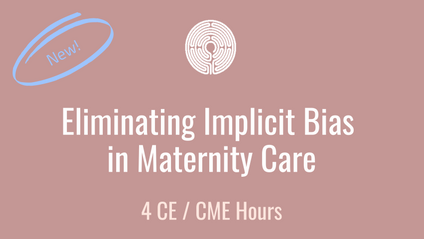 Product image for Breaking Barriers in Maternal Care