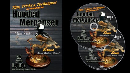 Product image for Hooded Merganser