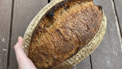 Product image for 100% Whole Wheat Sourdough Excel Dough Calculator
