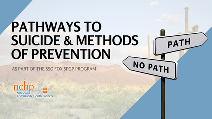 Product image for Pathways to Suicide & Methods for Prevention
