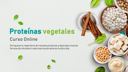 Product image for Curso Online "Proteínas Vegetales"