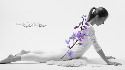 Product image for Learn to Teach Yin - Beyond the Basics