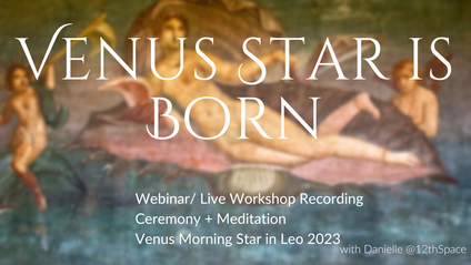 Product image for Venus Star is Born