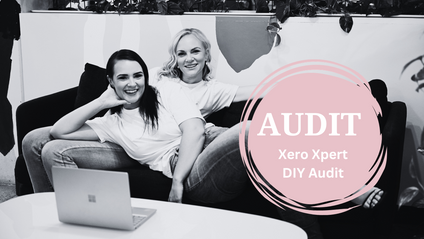 Product image for Xero Xpert: Financial Health Check