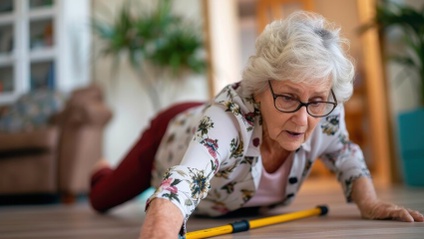 Product image for Fall Precautions in Assisted Living