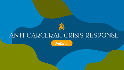 Product image for Anti-Carceral Crisis Response Webinar