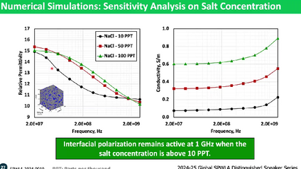 Product image for Influence of Salt Concentration and Type on Dielectric Permittivity of Rocks