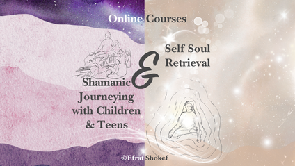 Product image for Shamanic Journeying AND Self Soul Retrieval With Children and Teens Bundle
