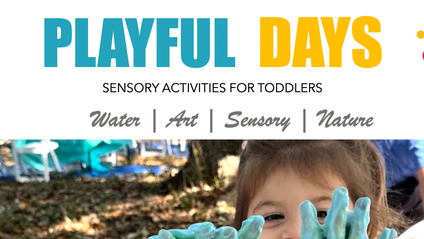 Product image for Playful Days: Simple & Fun Sensory Activities for Toddlers