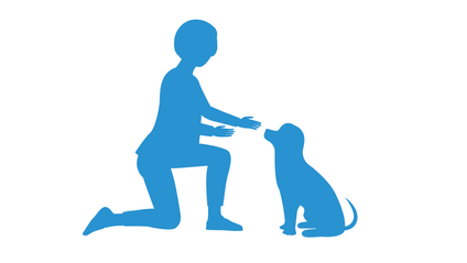 Product image for Behavior in Everyday Practice: Step by Step of Managing Behavior Cases in Your Practice