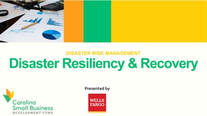 Product image for Disaster Resiliency and Recovery